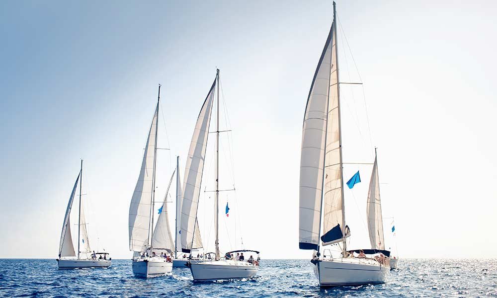 Four white sailboats with raised sails glide across a calm blue sea under a clear, sunny sky. Small blue flags are visible on some boats. People can be seen on the decks, enjoying the day—just one of the many relaxing things to do in Ocean County NJ.